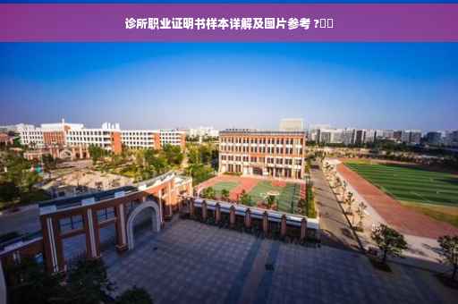 诊所职业证明书样本详解及图片参考 ?⚡️