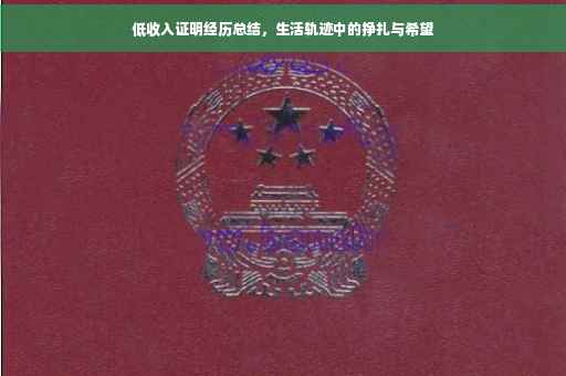低收入证明经历总结，生活轨迹中的挣扎与希望