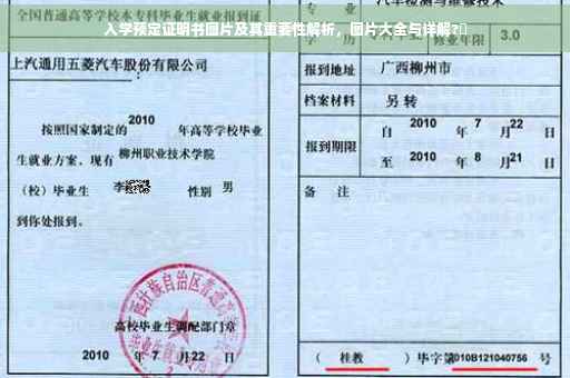 入学预定证明书图片及其重要性解析，图片大全与详解?✨