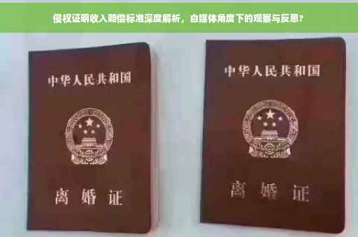 侵权证明收入赔偿标准深度解析，自媒体角度下的观察与反思?