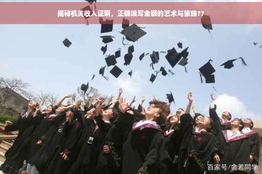 揭秘机关收入证明，正确填写金额的艺术与策略??