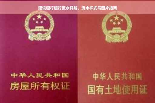 建设银行银行流水详解，流水样式与图片指南