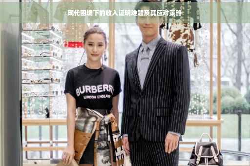 现代困境下的收入证明难题及其应对策略