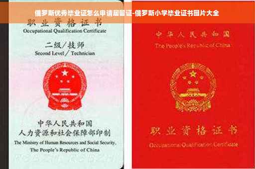 俄罗斯优秀毕业证怎么申请居留证-俄罗斯小学毕业证书图片大全