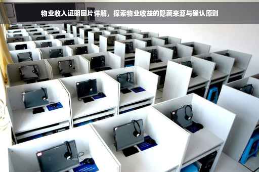 物业收入证明图片详解，探索物业收益的隐藏来源与确认原则