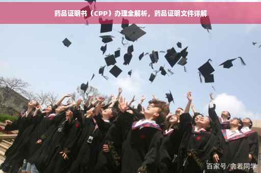 药品证明书（CPP）办理全解析，药品证明文件详解