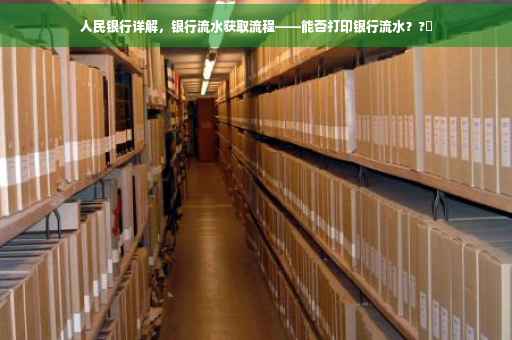 人民银行详解，银行流水获取流程——能否打印银行流水？?✨