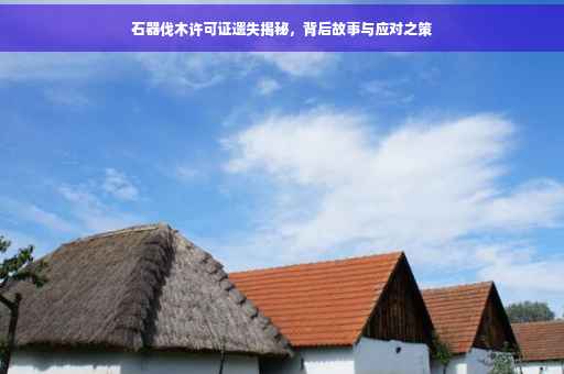 石器伐木许可证遗失揭秘，背后故事与应对之策