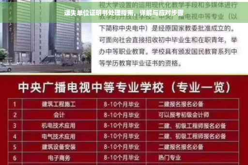 遗失单位证明书处理指南，详解与应对步骤