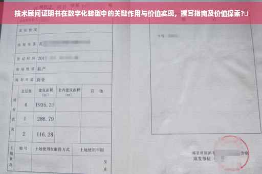 技术顾问证明书在数字化转型中的关键作用与价值实现，撰写指南及价值探索?✨
