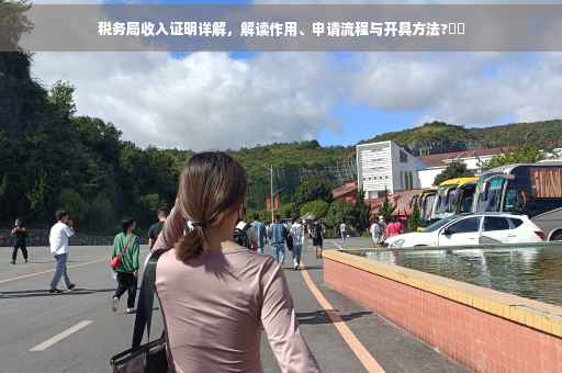 税务局收入证明详解，解读作用、申请流程与开具方法?⚡️