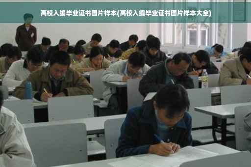 高校入编毕业证书图片样本(高校入编毕业证书图片样本大全)