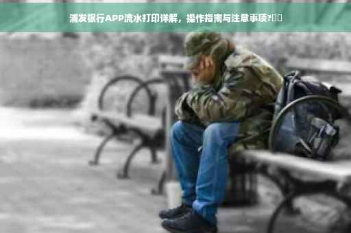 浦发银行APP流水打印详解，操作指南与注意事项?⚡️