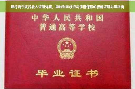建行海宁支行收入证明详解，您的财务状况与信用保障的权威证明办理指南