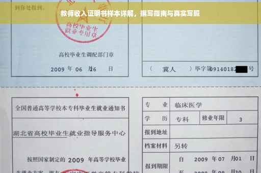 教师收入证明书样本详解，撰写指南与真实写照