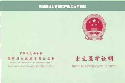 未超生证明书格式详解及图片指南