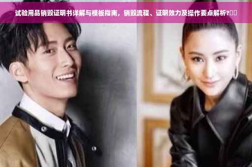 试验用品销毁证明书详解与模板指南，销毁流程、证明效力及操作要点解析?⚡️