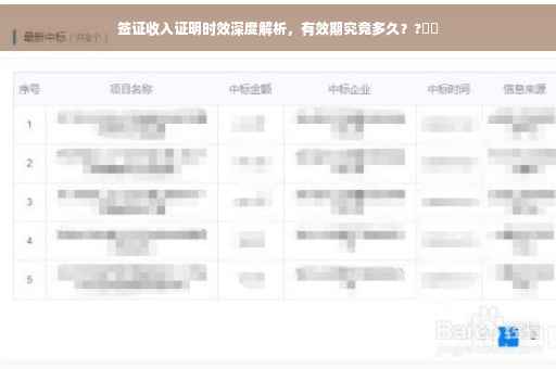 签证收入证明时效深度解析，有效期究竟多久？?⚡️
