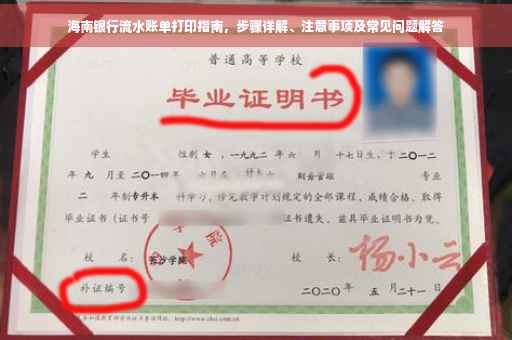 海南银行流水账单打印指南，步骤详解、注意事项及常见问题解答