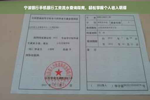 宁波银行手机银行工资流水查询指南，轻松掌握个人收入明细