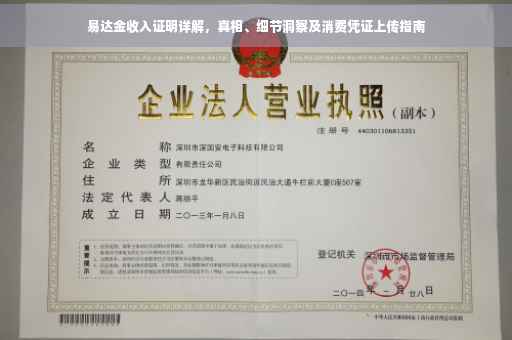 易达金收入证明详解，真相、细节洞察及消费凭证上传指南