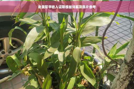 赴美留学收入证明模板详解及图片参考
