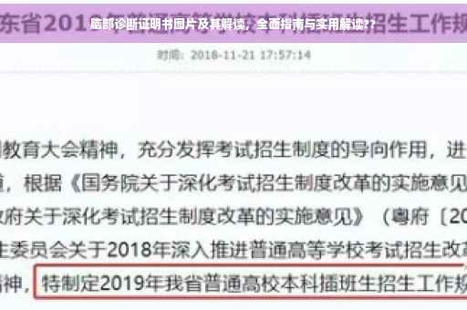 脑部诊断证明书图片及其解读，全面指南与实用解读??