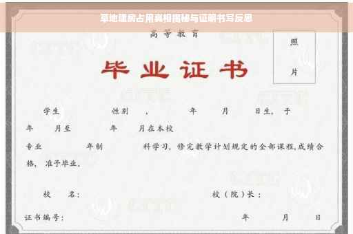 草地建房占用真相揭秘与证明书写反思