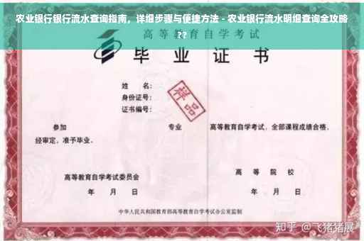 农业银行银行流水查询指南，详细步骤与便捷方法 - 农业银行流水明细查询全攻略??