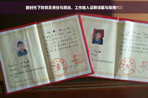 新时代下的党员责任与担当，工作收入证明详解与指南?⚡️