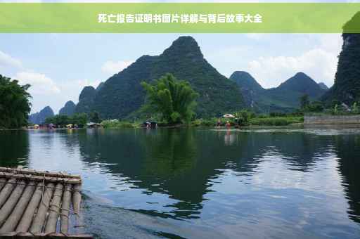 死亡报告证明书图片详解与背后故事大全