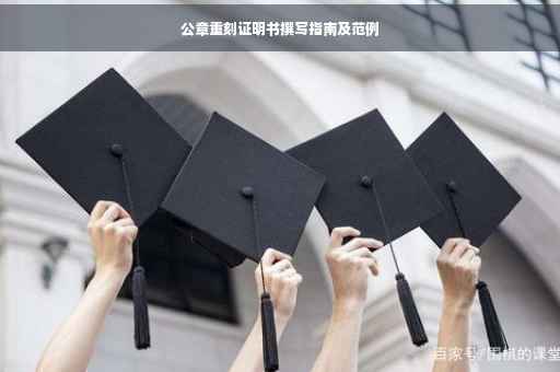 公章重刻证明书撰写指南及范例