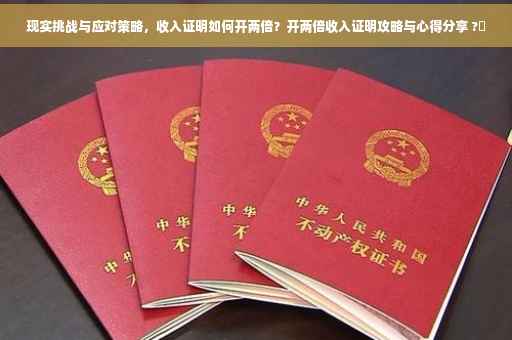 现实挑战与应对策略，收入证明如何开两倍？开两倍收入证明攻略与心得分享 ?✨