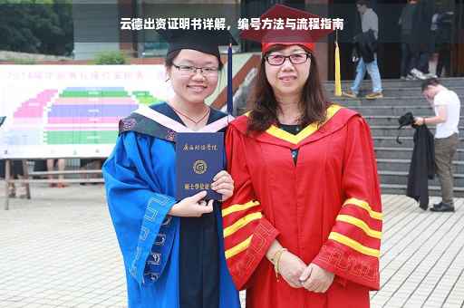 云德出资证明书详解，编号方法与流程指南