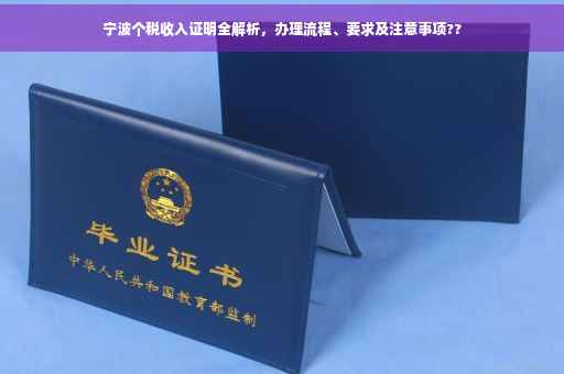 宁波个税收入证明全解析，办理流程、要求及注意事项??