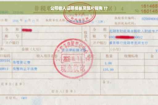 公司收入证明模板及图片指南 ??