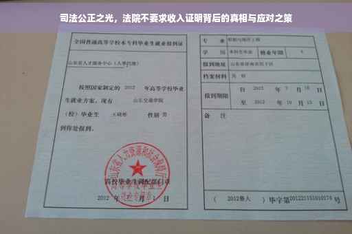 司法公正之光，法院不要求收入证明背后的真相与应对之策