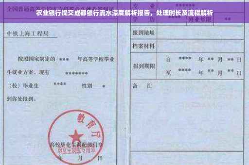 农业银行提交成都银行流水深度解析报告，处理时长及流程解析