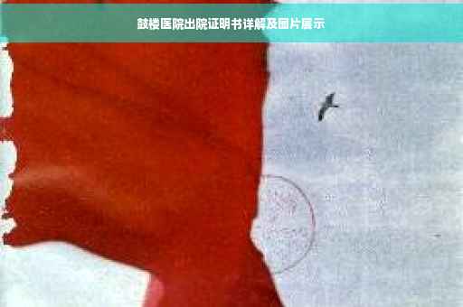 鼓楼医院出院证明书详解及图片展示