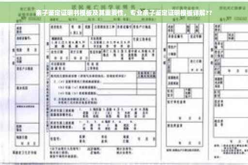 亲子鉴定证明书模板及其重要性，专业亲子鉴定证明模板详解??