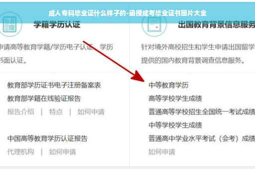 成人专科毕业证什么样子的-函授成考毕业证书图片大全