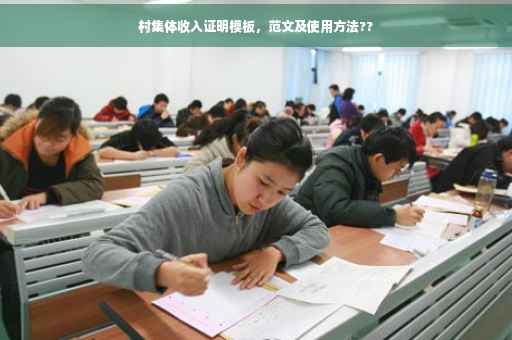 村集体收入证明模板，范文及使用方法??