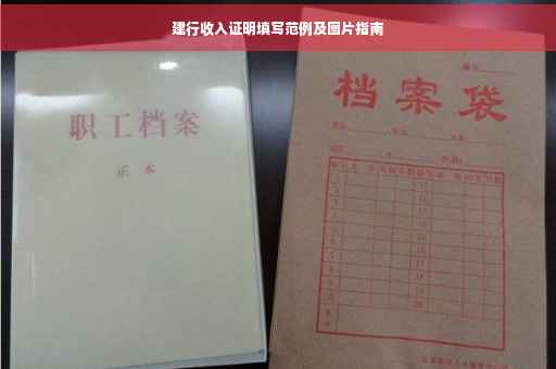 建行收入证明填写范例及图片指南