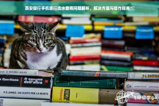 西安银行手机银行流水查看问题解析，解决方案与操作指南?✨