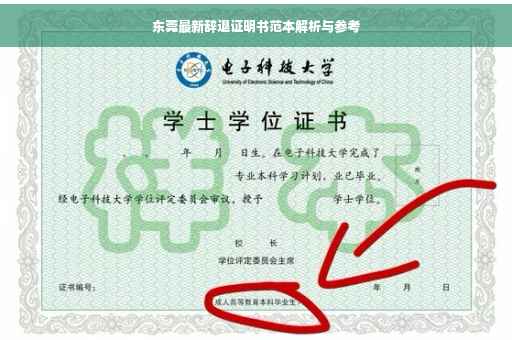 东莞最新辞退证明书范本解析与参考