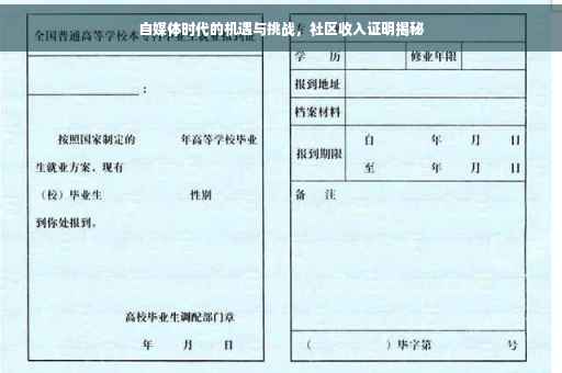 自媒体时代的机遇与挑战，社区收入证明揭秘