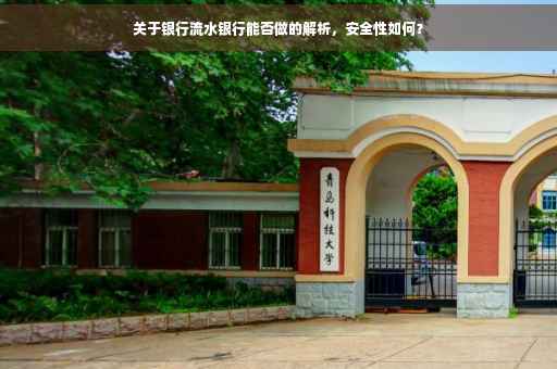 关于银行流水银行能否做的解析，安全性如何？
