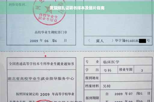 医院结扎证明书样本及图片指南