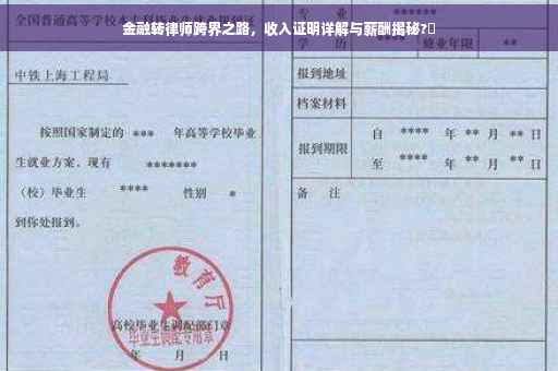 金融转律师跨界之路，收入证明详解与薪酬揭秘?✨