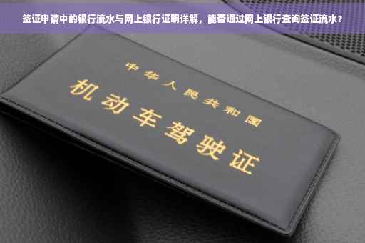 签证申请中的银行流水与网上银行证明详解，能否通过网上银行查询签证流水？